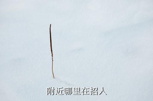 附近哪里在招人