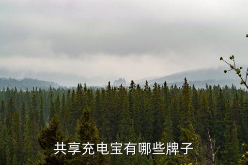 共享充電寶有哪些牌子