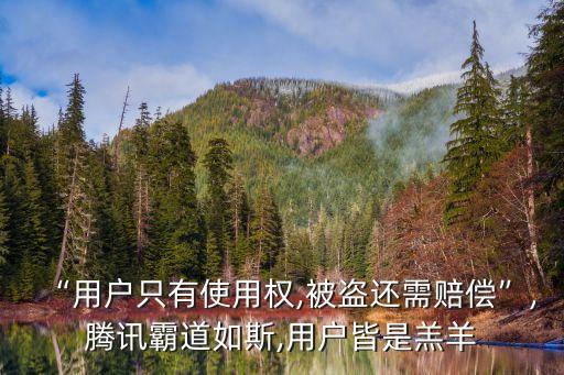 “用戶(hù)只有使用權(quán),被盜還需賠償”,騰訊霸道如斯,用戶(hù)皆是羔羊