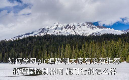 如何學(xué)習(xí)plc編程啊大家有沒有推薦的編程控制器啊 施耐德的怎么樣