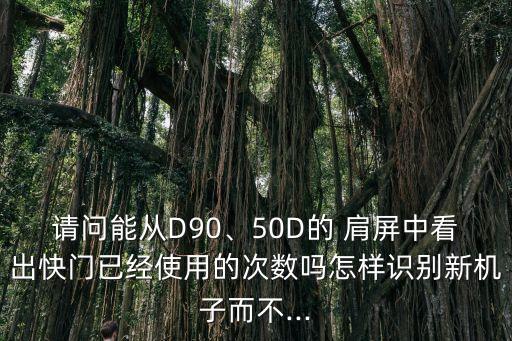 佳能肩屏數(shù)據(jù)怎么看,佳能相機(jī)怎么看豎屏照片