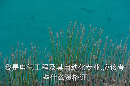 我是電氣工程及其自動化專業(yè),應(yīng)該考些什么資格證