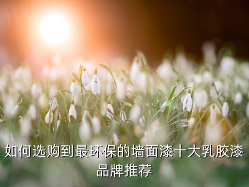 如何選購到最環(huán)保的墻面漆十大乳膠漆品牌推薦