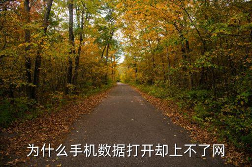 為什么沒有數(shù)據(jù)網絡,數(shù)據(jù)開啟卻上不了網手機如何解決?