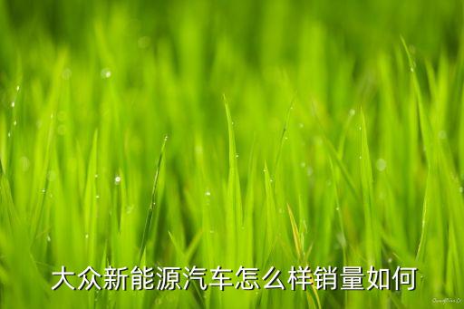  大眾新能源汽車(chē)怎么樣銷(xiāo)量如何