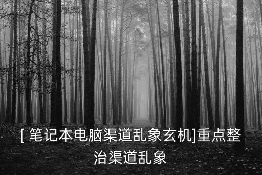 [ 筆記本電腦渠道亂象玄機(jī)]重點(diǎn)整治渠道亂象