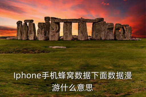 Iphone手機(jī)蜂窩數(shù)據(jù)下面數(shù)據(jù)漫游什么意思