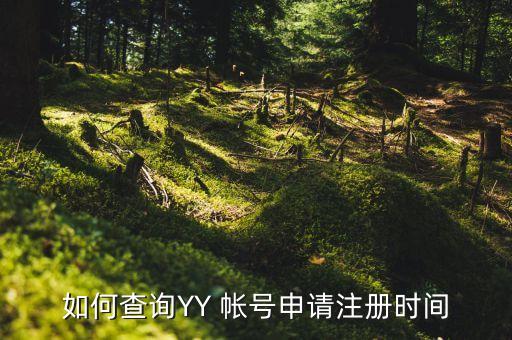 如何查詢YY 帳號(hào)申請(qǐng)注冊(cè)時(shí)間