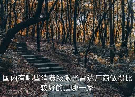 國內(nèi)有哪些消費級激光雷達廠商做得比較好的是哪一家