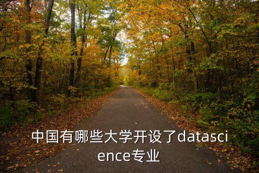 中國有哪些大學(xué)開設(shè)了datascience專業(yè)