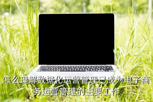 怎么理解數據化運營管理已成為電子商務運營管理的主要工作
