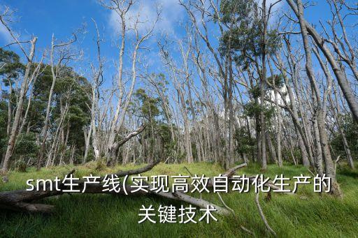 smt生產(chǎn)線(實(shí)現(xiàn)高效自動(dòng)化生產(chǎn)的關(guān)鍵技術(shù)