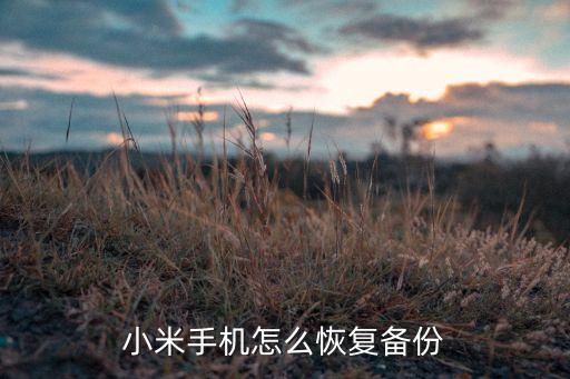 小米手機(jī)怎么恢復(fù)備份