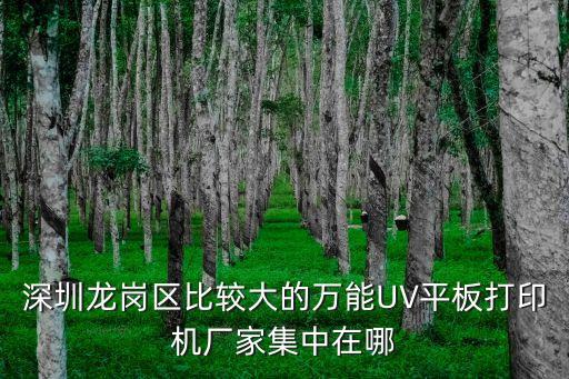 深圳龍崗區(qū)比較大的萬能UV平板打印機(jī)廠家集中在哪