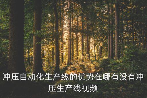 沖壓自動化生產(chǎn)線的優(yōu)勢在哪有沒有沖壓生產(chǎn)線視頻