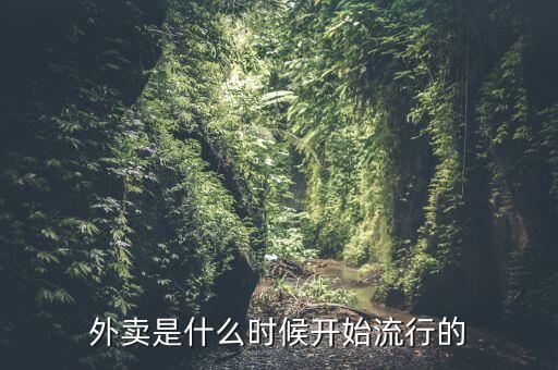 外賣是什么時候開始流行的