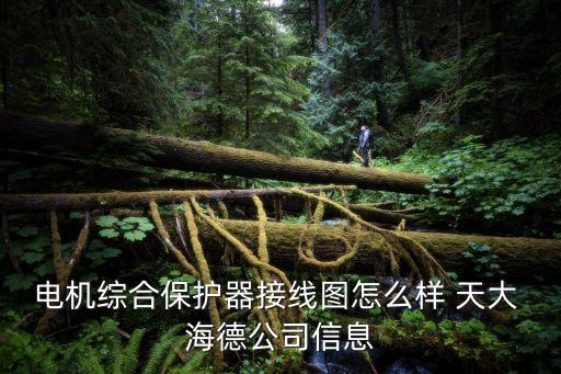 天大海德自動(dòng)化有限公司,北京天大海德科技有限公司
