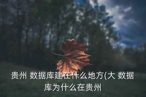 貴州 數(shù)據(jù)庫建在什么地方(大 數(shù)據(jù)庫為什么在貴州
