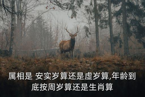 安實,安家電視劇全集免費觀看