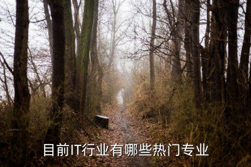 目前IT行業(yè)有哪些熱門專業(yè)