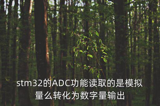 stm32的ADC功能讀取的是模擬量么轉(zhuǎn)化為數(shù)字量輸出