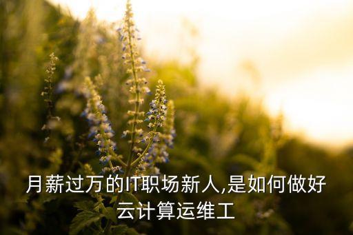 月薪過萬的IT職場新人,是如何做好云計算運(yùn)維工