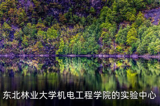 東北林業(yè)大學機電工程學院的實驗中心