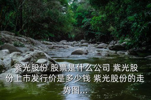  紫光股份 股票是什么公司 紫光股份上市發(fā)行價是多少錢 紫光股份的走勢圖...