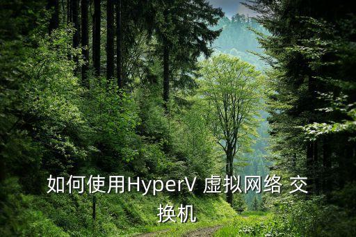 如何使用HyperV 虛擬網(wǎng)絡(luò) 交換機