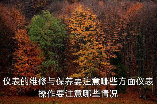 儀表的維修與保養(yǎng)要注意哪些方面儀表操作要注意哪些情況