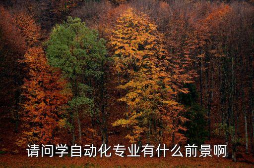 請問學(xué)自動化專業(yè)有什么前景啊