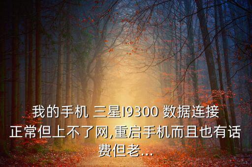 三星i9300數(shù)據(jù)上網(wǎng)