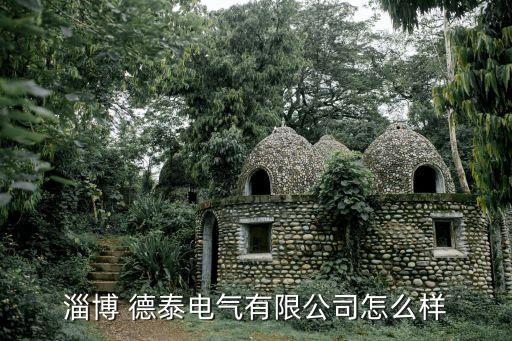 淄博 德泰電氣有限公司怎么樣