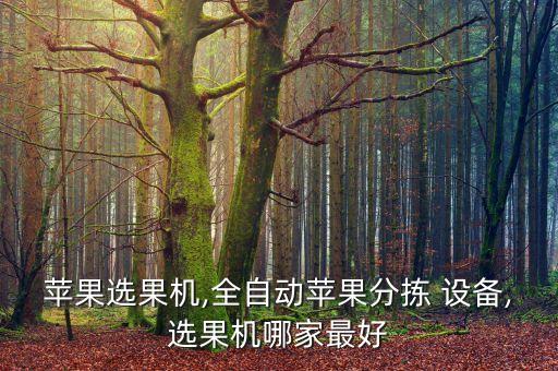 蘋果選果機,全自動蘋果分揀 設備,選果機哪家最好
