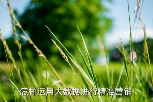 怎樣運用大數(shù)據(jù)進行精準營銷