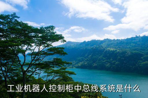 工業(yè)機器人驅(qū)動器,工業(yè)機器人驅(qū)動系統(tǒng)有哪些?