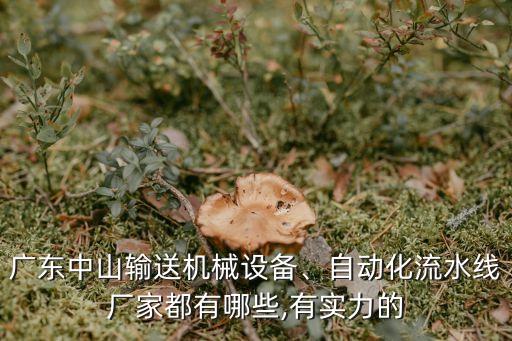 廣東中山輸送機械設(shè)備、自動化流水線廠家都有哪些,有實力的