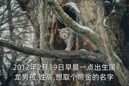 2012年2月19日早晨一點(diǎn)出生屬龍男孩,姓高,想取個(gè)帶金的名字