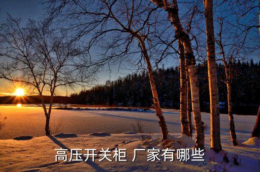 高壓開關(guān)柜 廠家有哪些