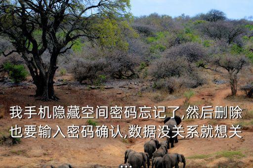 我手機(jī)隱藏空間密碼忘記了,然后刪除也要輸入密碼確認(rèn),數(shù)據(jù)沒關(guān)系就想關(guān)...