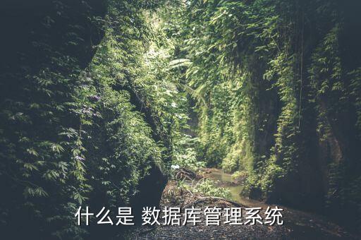 什么是 數(shù)據(jù)庫管理系統(tǒng)