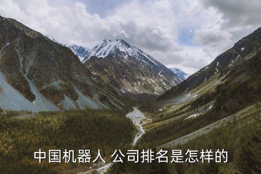 中國機器人 公司排名是怎樣的