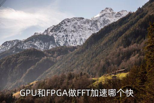 GPU和FPGA做FFT加速哪個快