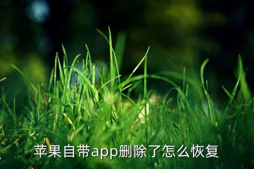 ios怎么恢復應用數(shù)據(jù),蘋果手機怎么恢復數(shù)據(jù)?