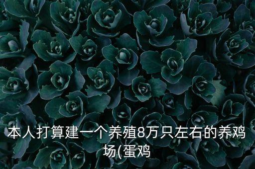 本人打算建一個(gè)養(yǎng)殖8萬(wàn)只左右的養(yǎng)雞場(chǎng)(蛋雞