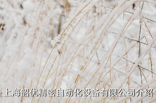 自動(dòng)化方面的公司介紹,皇帝自動(dòng)化公司的簡(jiǎn)介介紹及產(chǎn)品