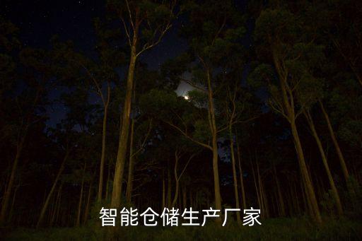 智能倉(cāng)儲(chǔ)生產(chǎn)廠家