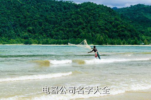電器公司名字大全