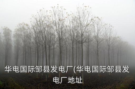 華電國際鄒縣發(fā)電廠(華電國際鄒縣發(fā)電廠地址