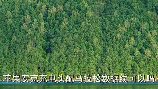 蘋果安克充電頭配馬拉松數(shù)據(jù)線可以嗎